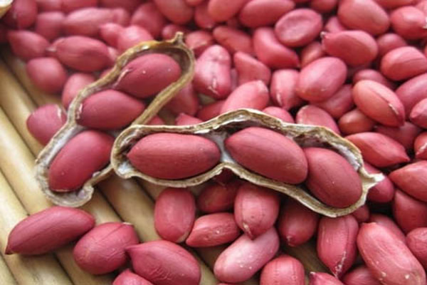 Price and Buy raw red skin peanuts in shell + Cheap Sale