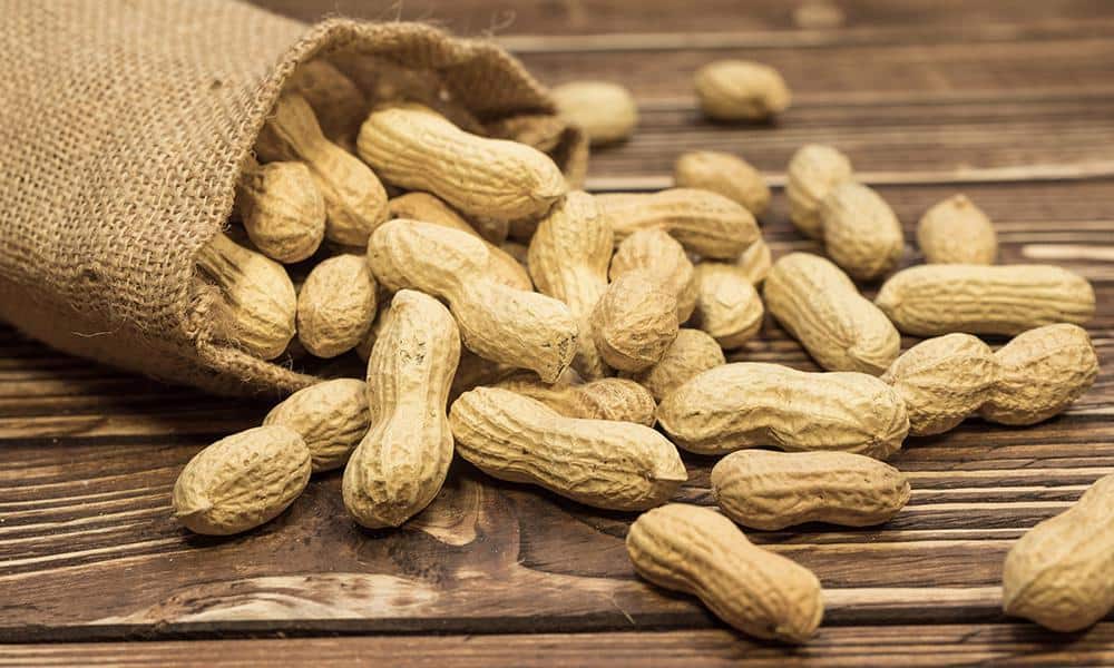 red peanut products purchase price + quality test