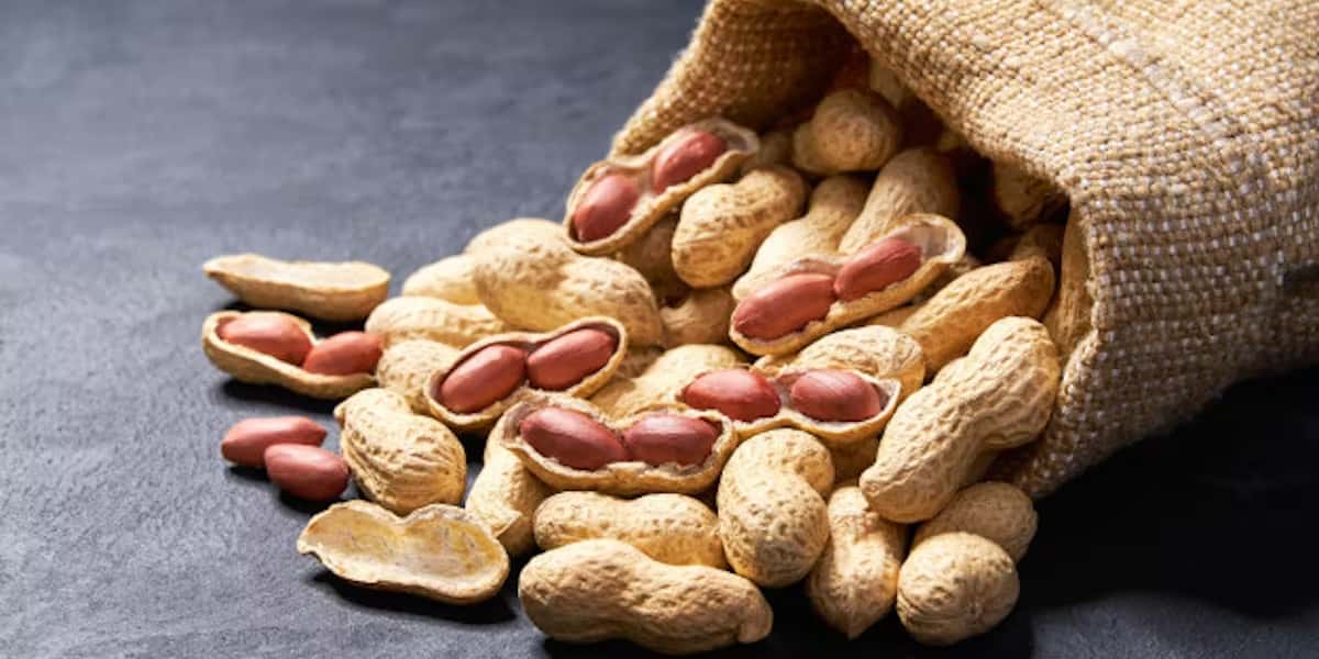 Raw peanuts red skin peanut or blanched | great price