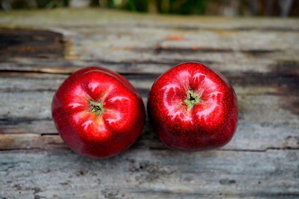Buy Red Apple  | Selling All Types of Red Apple  At a Reasonable Price
