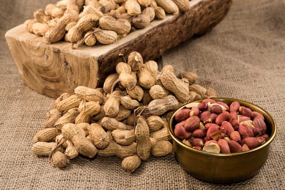 Are Peanut Shells Edible (Can You Eat)