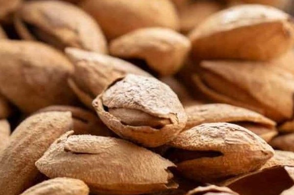 Buy soft shell almond At an Exceptional Price