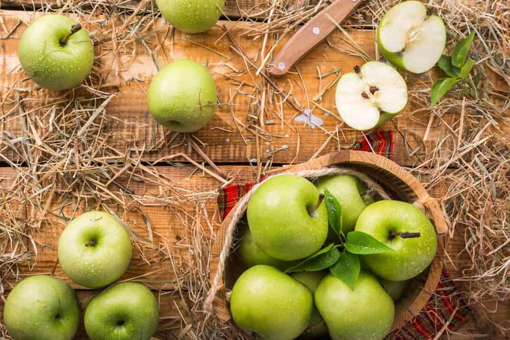 apple fruit global demand market size