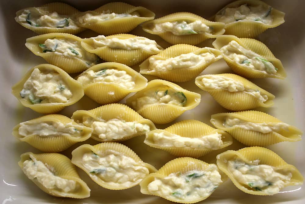 Buy Conchiglie Pasta | Selling All Types of Conchiglie Pasta At a Reasonable Price