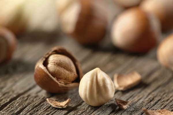 Buy The Best Types of Hazelnut nuts At a Cheap Price