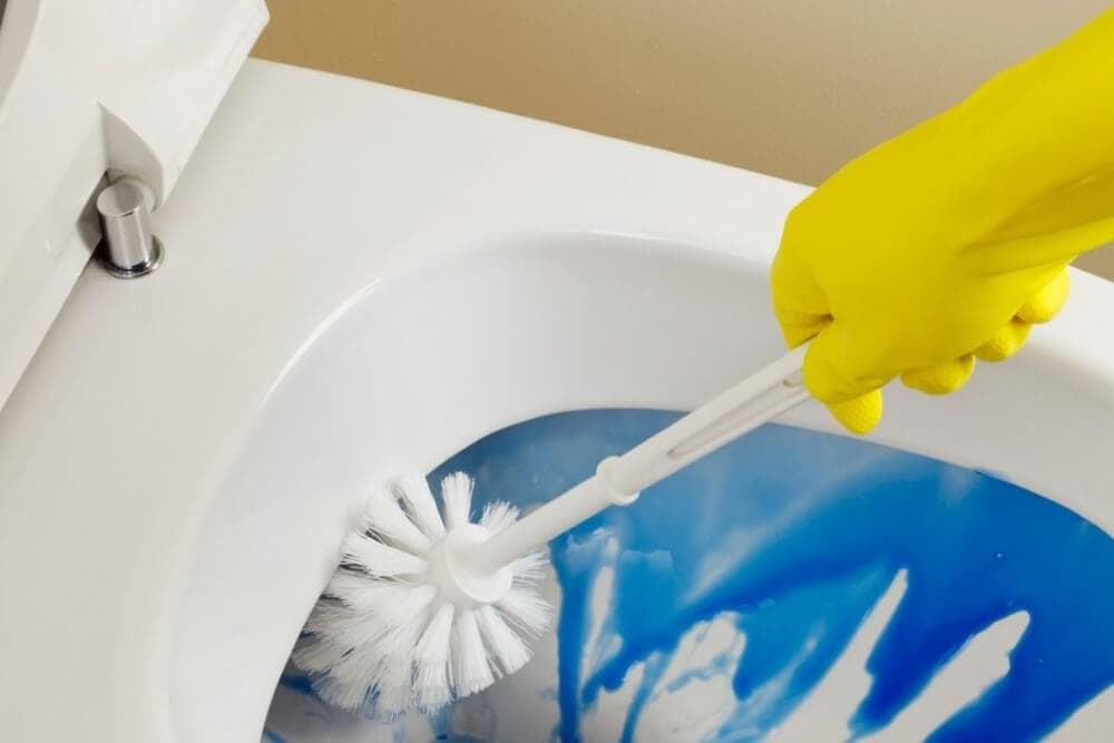 top 10 toilet cleaner liquid manufacturers brands in India