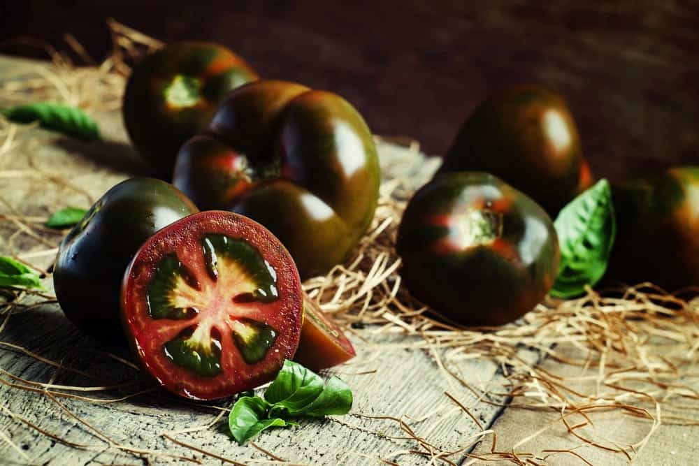 Best black beauty tomato seed + Great Purchase Price
