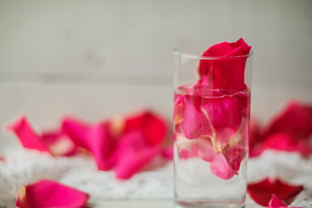 Price and Buy Damask rose water toner + Cheap Sale