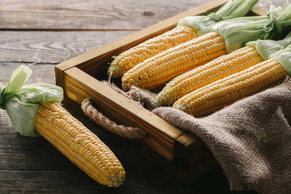 how to cook canned corn healthy