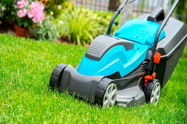 lawn mower equipment Purchase Price + Sales In Trade And Export