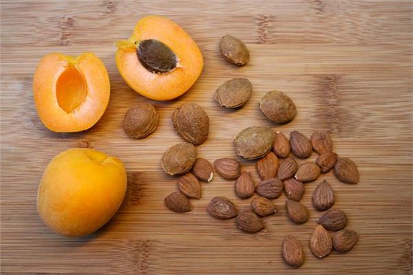 Buy All Kinds of apricot kernels at the Best Price