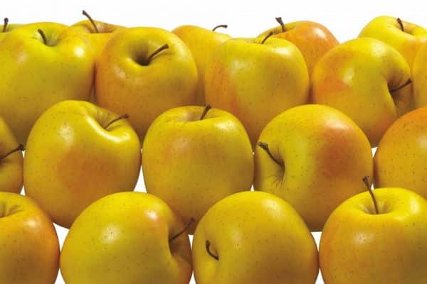 Buy golden apple | Selling All Types of golden apple At a Reasonable Price