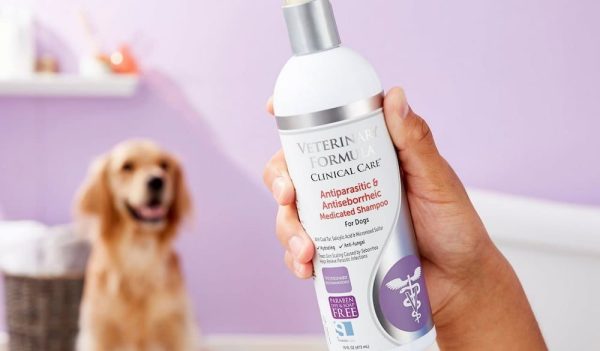 Private label pet grooming shampoo | Reasonable Price, Great Purchase