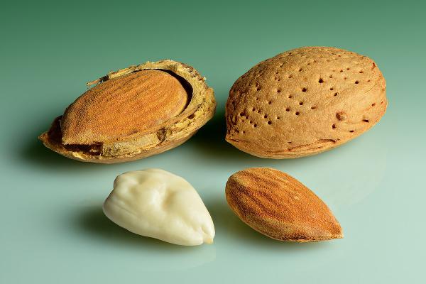 Buy almonds shell Types + Price