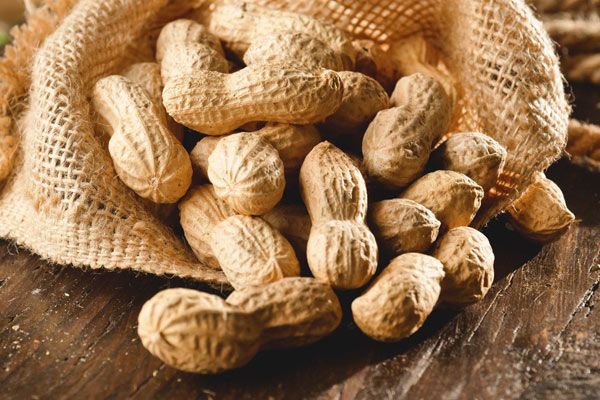 Online Raw Peanuts Purchase Price + Quality Test