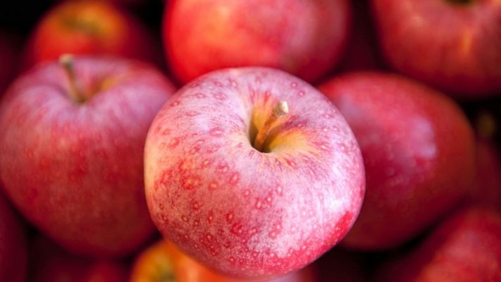 Snowsweet Apple Taste and Wholesale Price