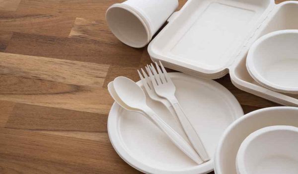 Buy disposable dinnerware sets for weddings at an Exceptional Price