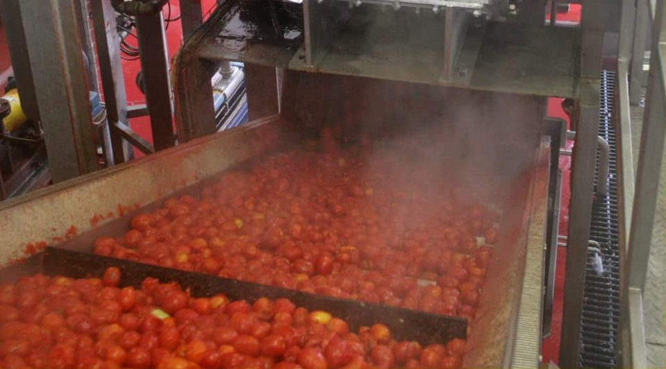 small scale tomato paste processing machine + Buy