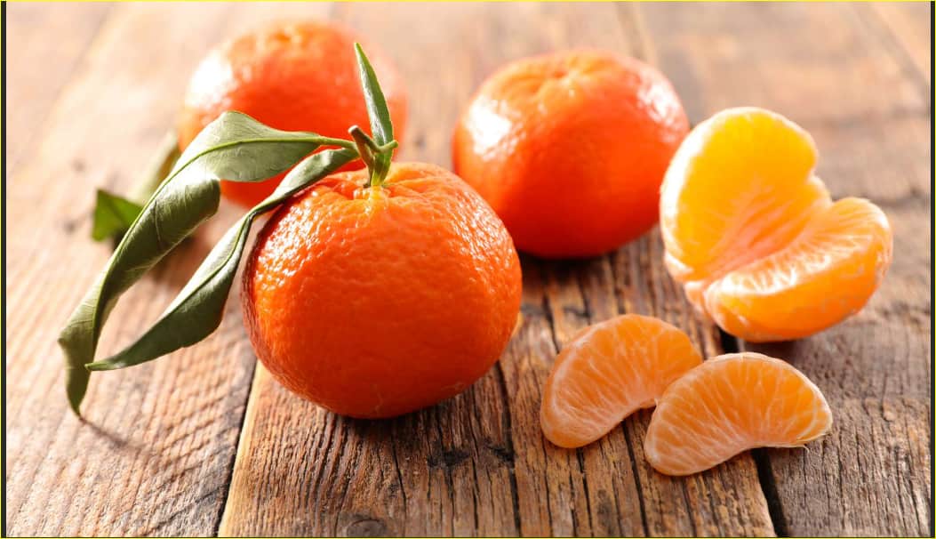 Organic small mandarin fruit | Buy at a cheap price