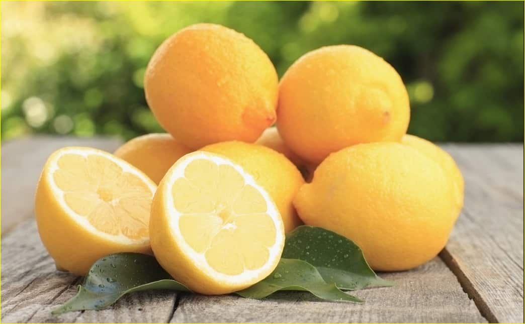 fresh small lemon market + price