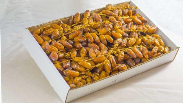 Deglet Noor dates + Purchase Price, Use, Uses and Properties