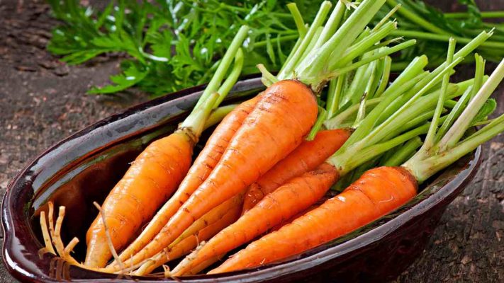 Best Danvers Carrots UK + Great Purchase Price