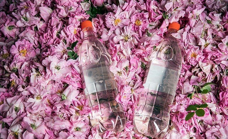 Buy pure rose | Selling All Types of pure rose At a Reasonable Price