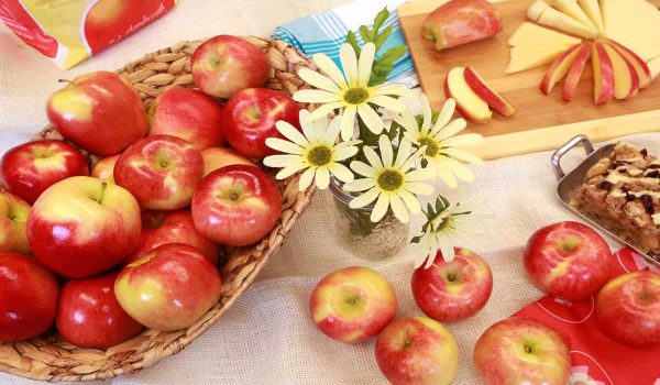 Purchase And Day Price of ambrosia apple tree