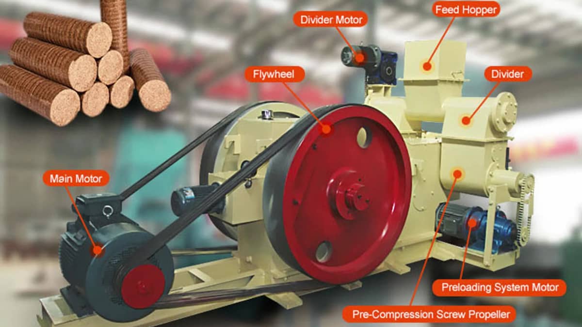 Buy Biomass Screw + Introduce The Production And Distribution Factory