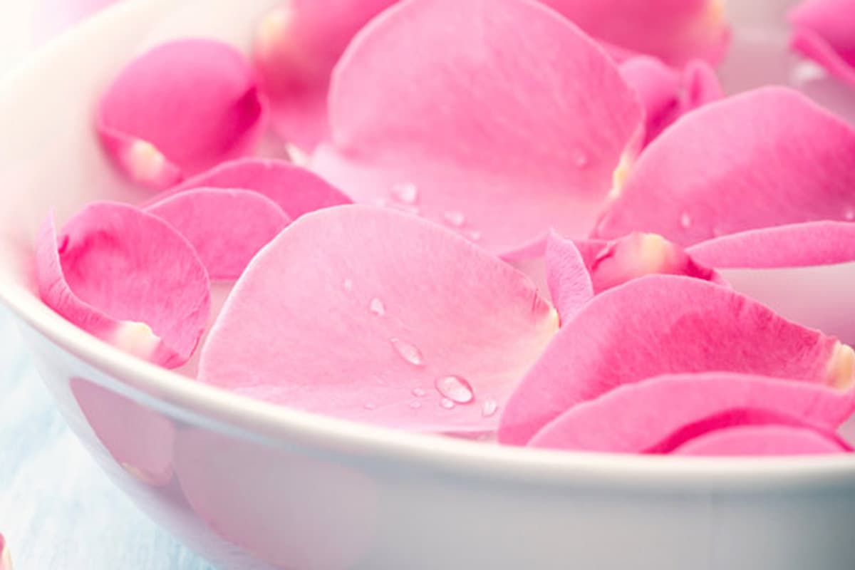 Buy Pink Rose Petals Types + Price