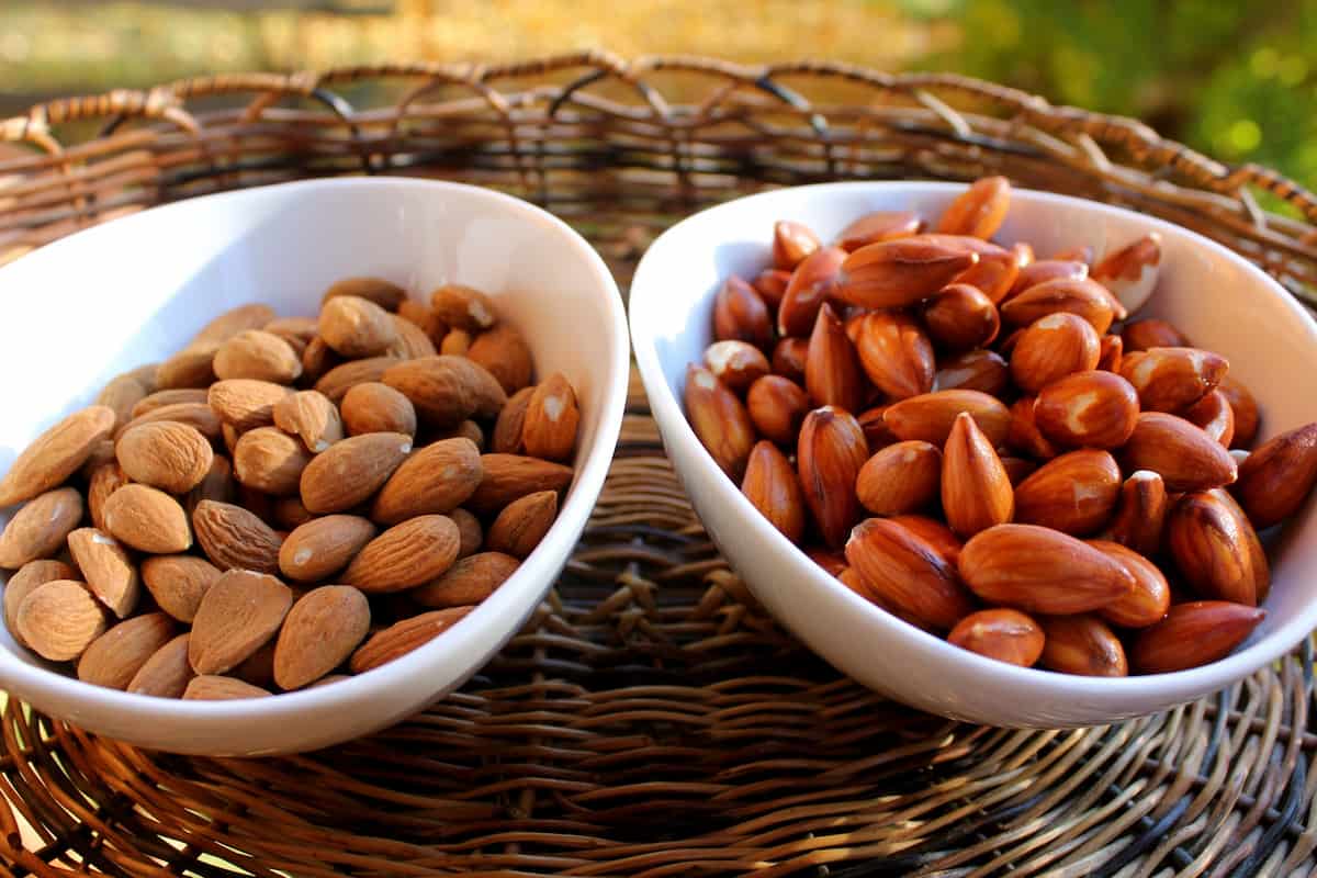 Buy All Kinds of kernels almond At The Best Price