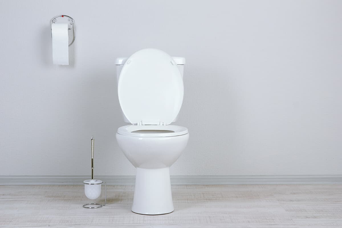 round toilet seat vs elongated and which is better