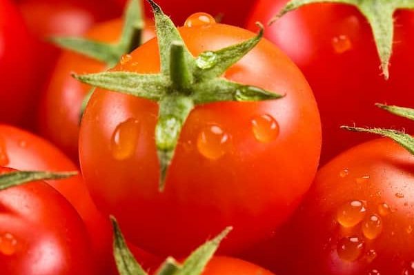 Buy lycopene tomato paste + Best Price