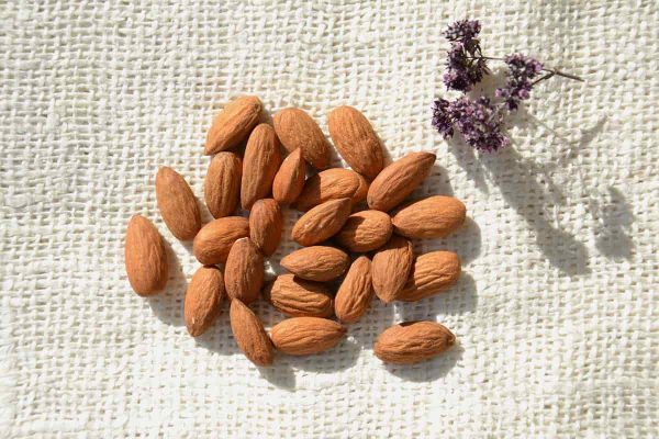 Almond kernel | Sellers at reasonable prices Italian silk fabric