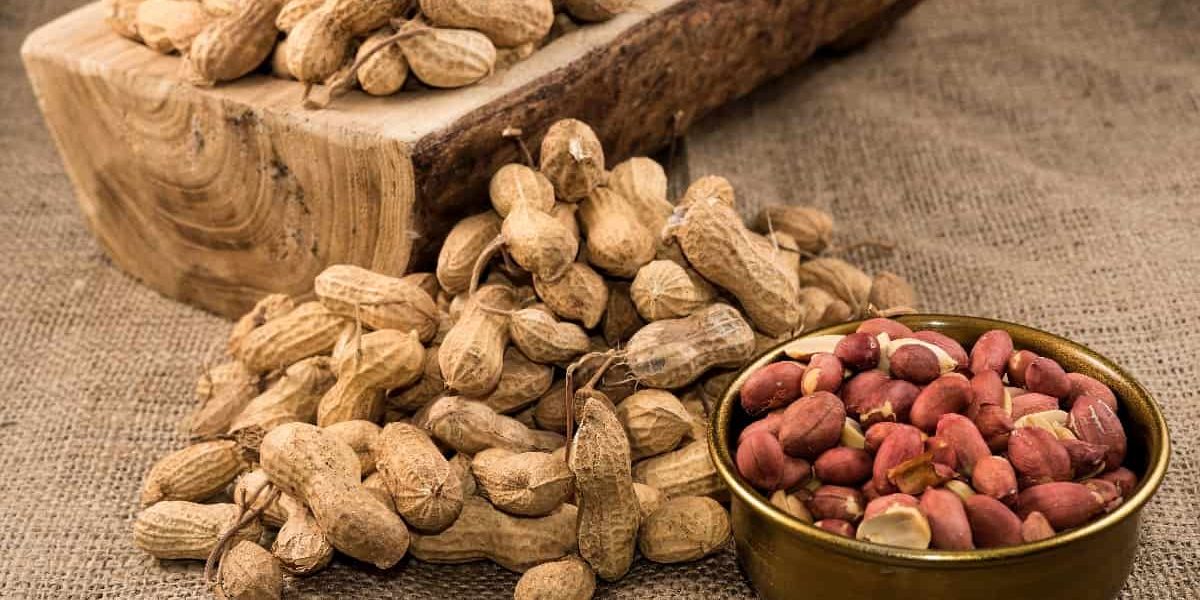 The Price of 2kg Peanuts + Purchase and Sale of 2kg Peanuts Wholesale