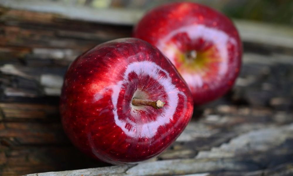 Evercrisp apple fruits purchase price + photo