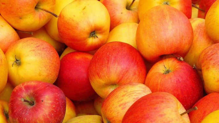 Buy wolf river apple  types + price