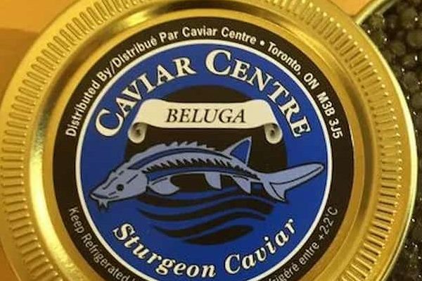 Price List of Illegal beluga caviar 2023