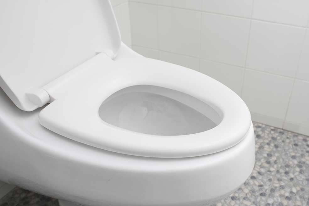 Buy well-known Ceramic toilet bowl  + Best Price