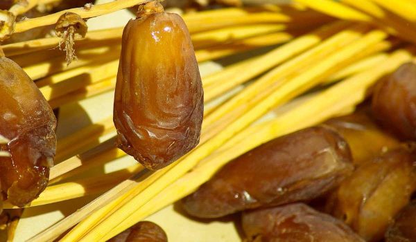 The Price of Kalute dates in turkey + Wholesale Production Distribution of the Factory