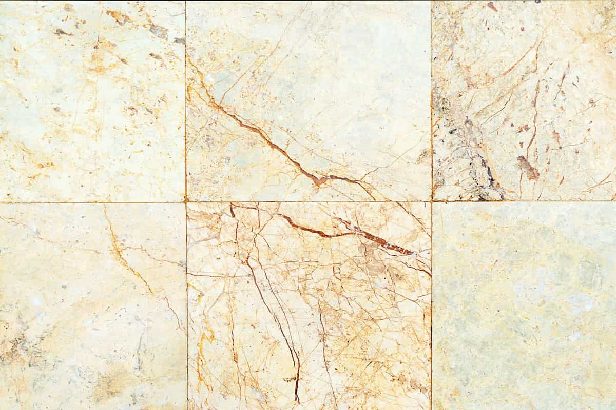 luxury marble flooring tile | Reasonable Price, Great Purchase