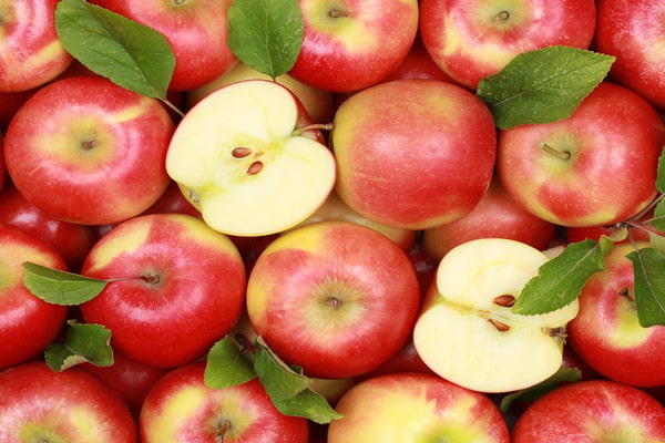 Introduction of Fuji Apples Types + Purchase Price of The Day