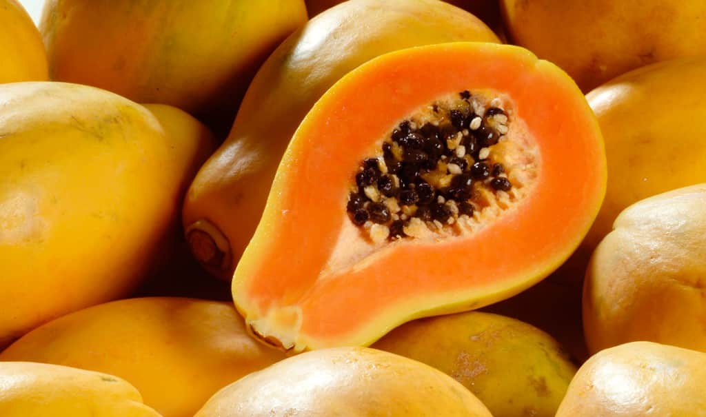 what is papaya juice  + purchase price of papaya juice