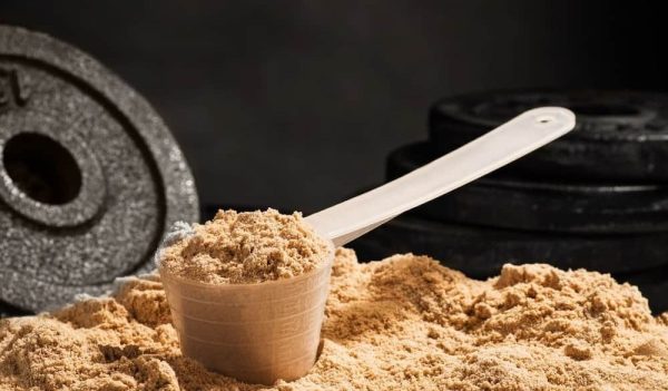 Whey Powder Protein Price + Wholesale and Cheap Packing Specifications