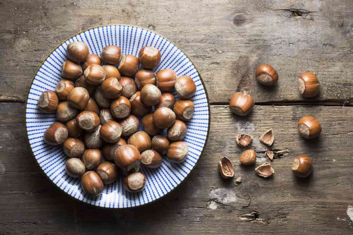 commercial information about hazelnut in general