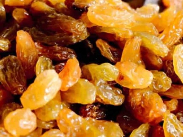 Golden raisins for diabetes Price + Wholesale and Cheap Packing Specifications