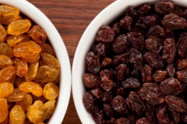 Purchase And Day Price of Raisins Company In India