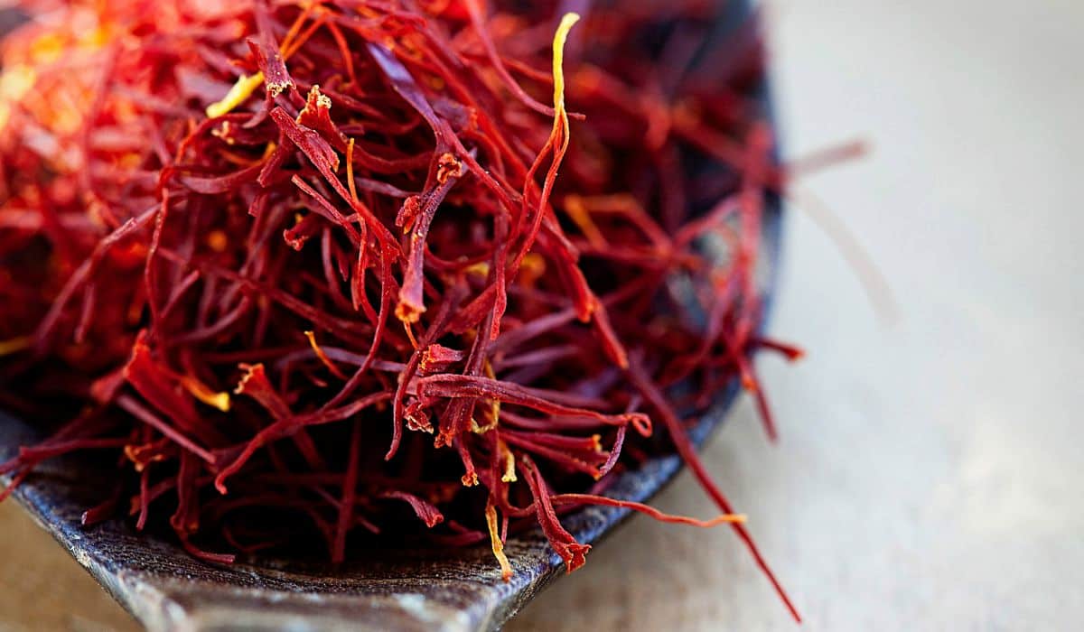 Buy All Kinds of Negin Saffron at the Best Price