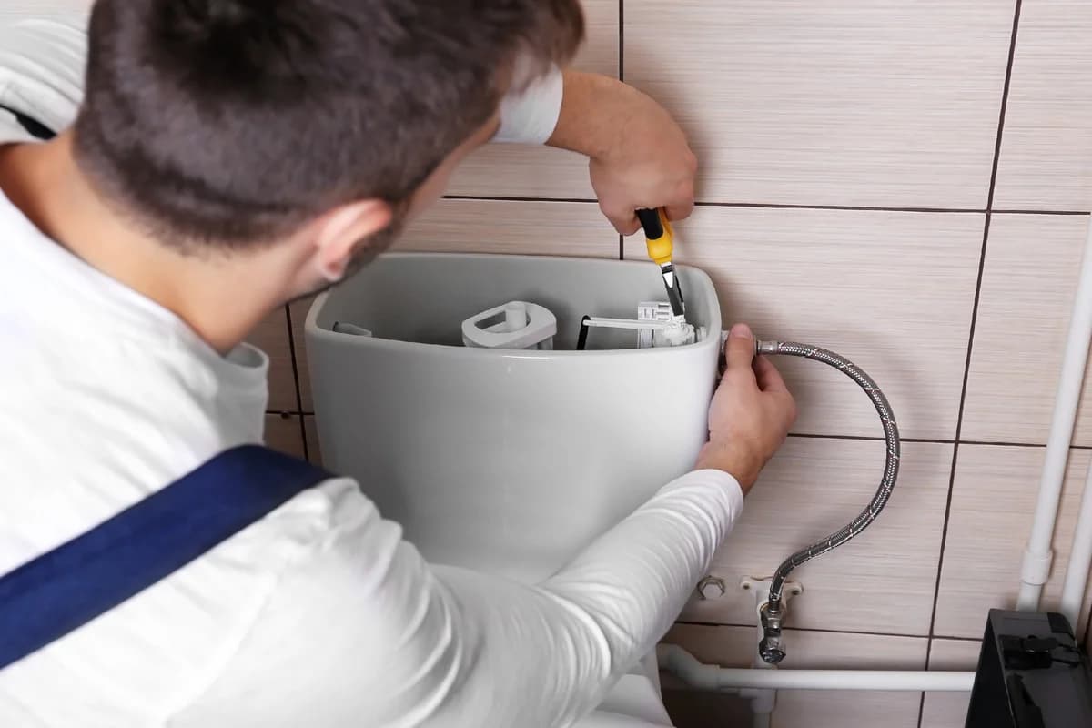 Buy flushometer valve toilet Types + Price