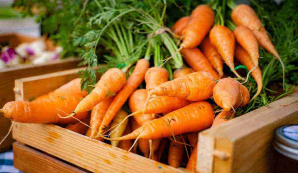 Roasted imperator carrots Purchase Price + Photo